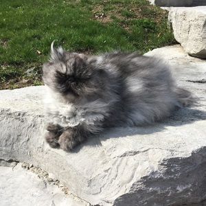 Meet your Posher, Mike